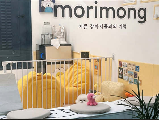 모리몽 · 네이버 지도·플레이스 3