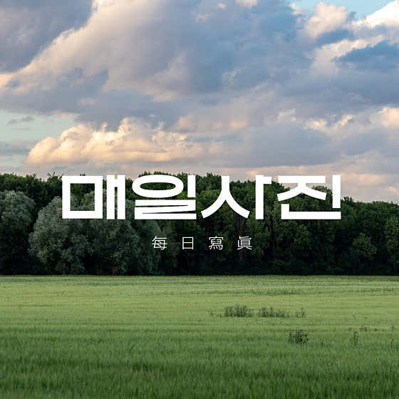 매일사진