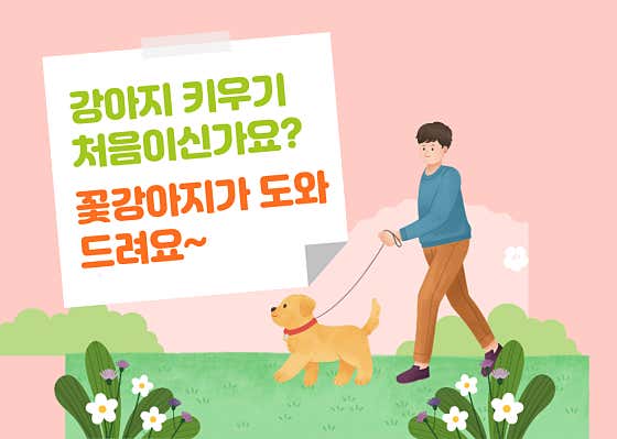 꽃강아지 · 네이버 지도·플레이스 2