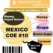 멕시코 COE#10 메뉴 사진(네이버)