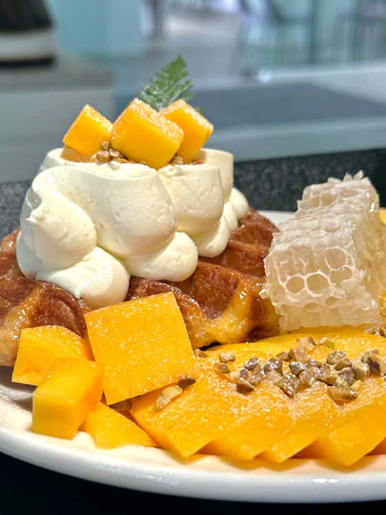 애플 망고 크로플 (시즌) 메뉴 사진(네이버)