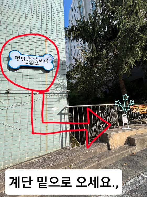 멍멍헤어 · 네이버 지도·플레이스 3