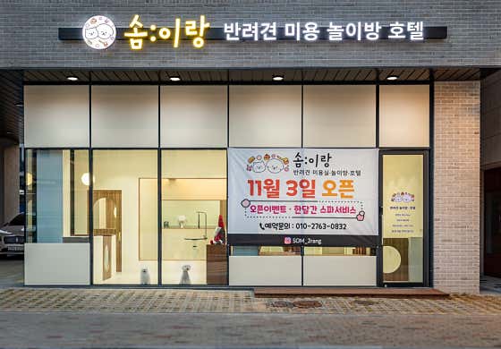 솜이랑 · 네이버 지도·플레이스 4