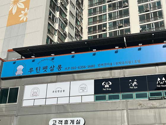 루틴펫살롱 · 네이버 지도·플레이스 4