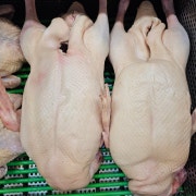 생오리 1마리 메뉴 사진(네이버)