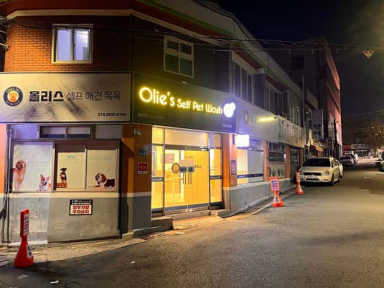 올리스24 두류공원점