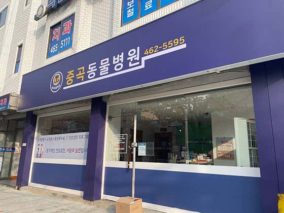 중곡동물병원 대표이미지