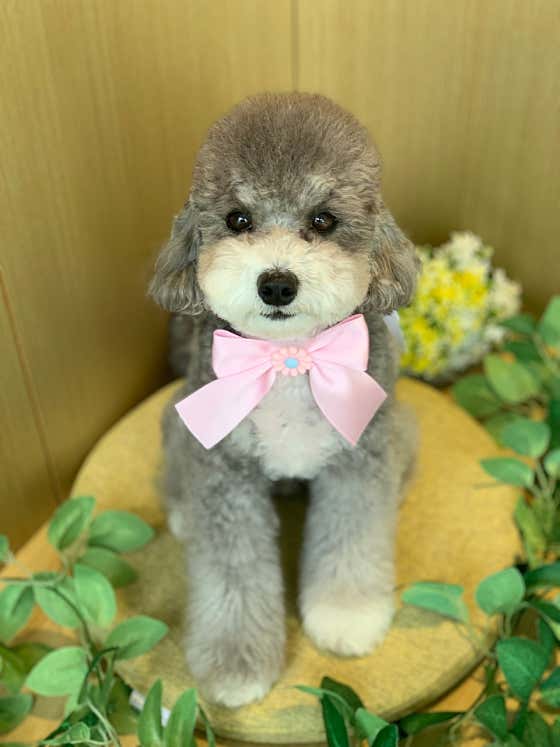 오네네 · 네이버 지도·플레이스 6