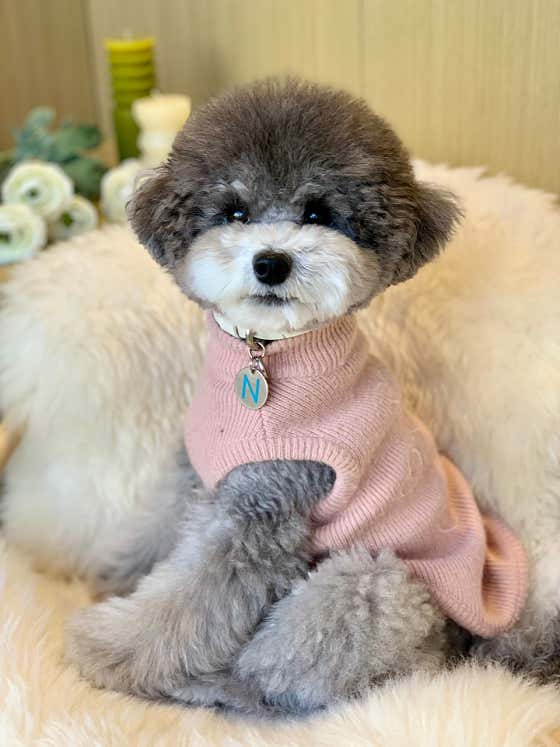 오네네 · 네이버 지도·플레이스 7
