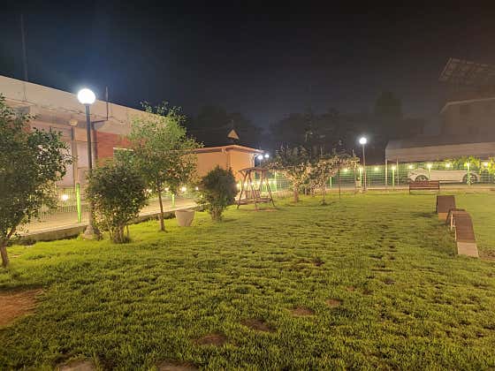 닭향 · 네이버 지도·플레이스 2