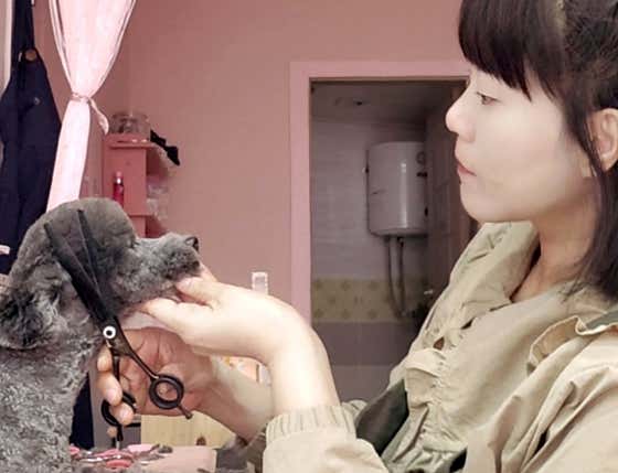 펫살롱 꽃단장 · 네이버 지도·플레이스 7