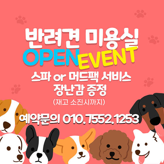 견과유 반려견미용실 · 네이버 지도·플레이스 2