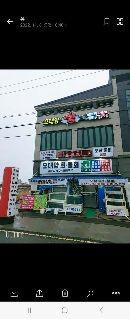 오대양회해물센터