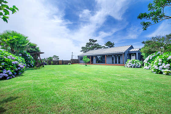 시선 · 네이버 지도·플레이스 3