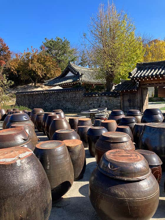 아비아채 하사정1920 · 네이버 지도·플레이스 10