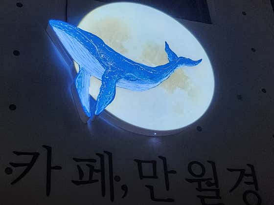 카페 만월경 동삼점 · 네이버 지도·플레이스 8