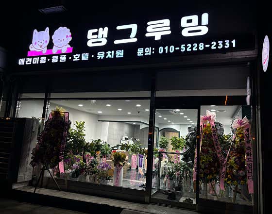 댕그루밍
