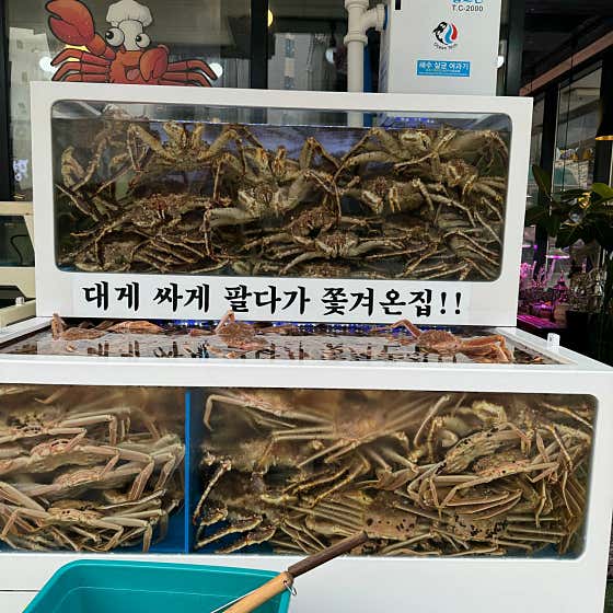 대게조은날 · 네이버 지도·플레이스 10