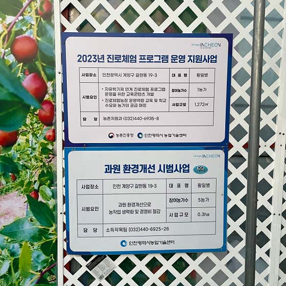 우주사과대추농장 · 네이버 지도·플레이스 6
