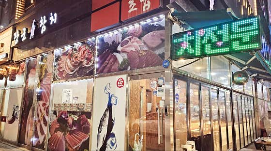 장군참치
