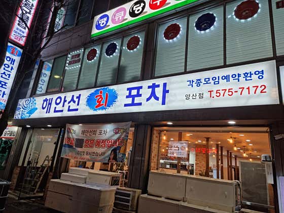 해안선회포차