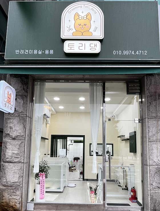 토리댕 · 네이버 지도·플레이스 2