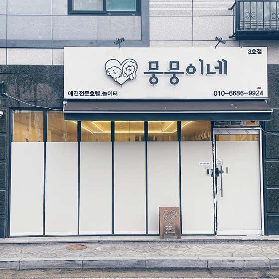 뭉뭉이네 애견유치원&호텔 놀이터 대표이미지