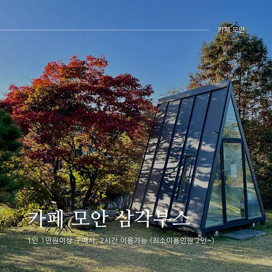카페 모안 · 네이버 지도·플레이스 3