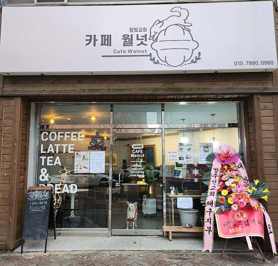 카페월넛