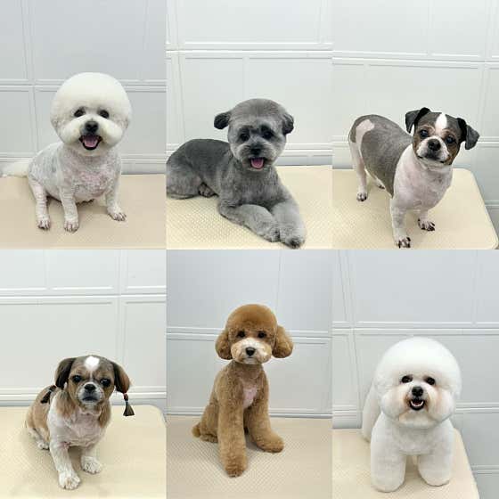 멍데이 · 네이버 지도·플레이스 2