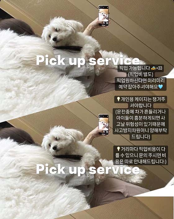 멍데이 · 네이버 지도·플레이스 5