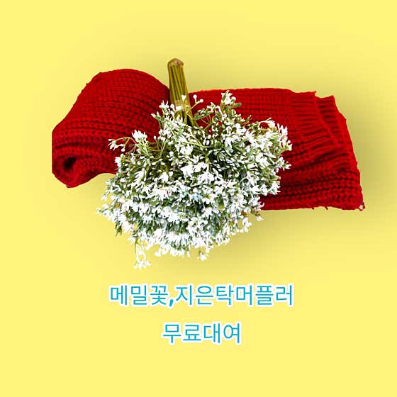 메밀꽃지은탁목도리무료 메뉴 사진(네이버)