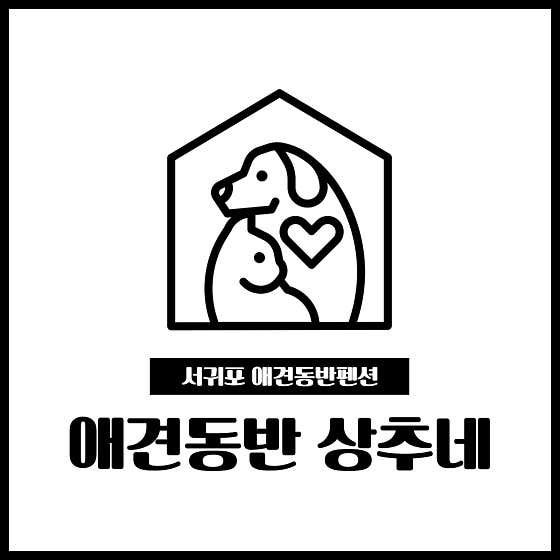 애견동반 상추네 · 네이버 지도·플레이스 2