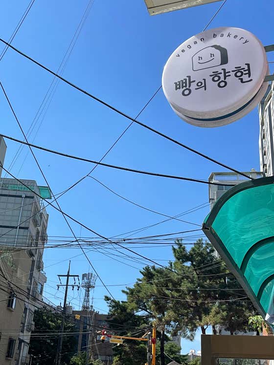 빵의향현 · 네이버 지도·플레이스 10