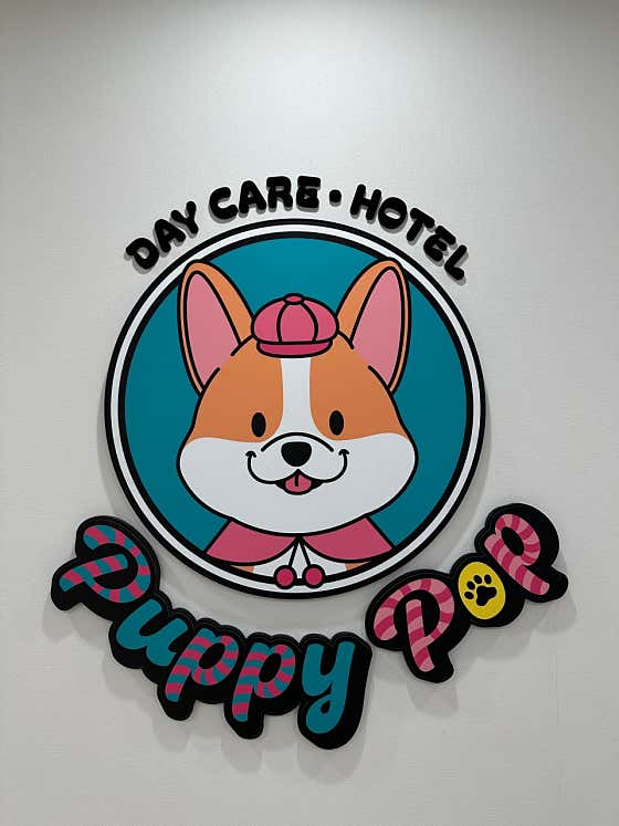퍼피팝 · 네이버 지도·플레이스 4