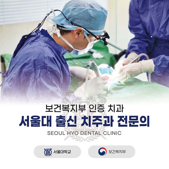 서울효치과의원