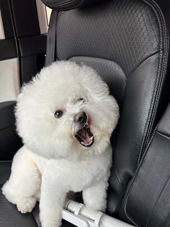 멜앤커피 · 네이버 지도·플레이스 2