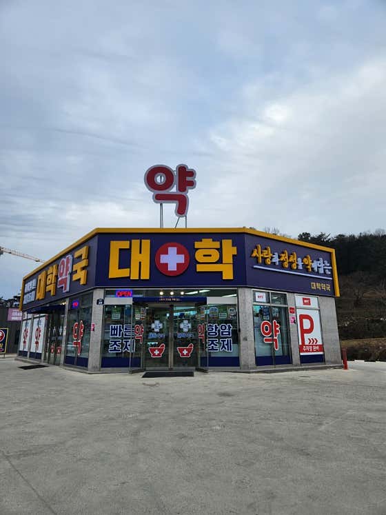 대학약국