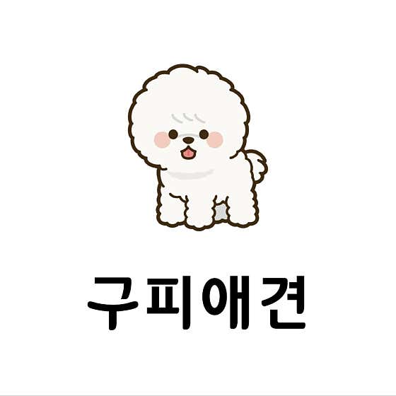 구피애견