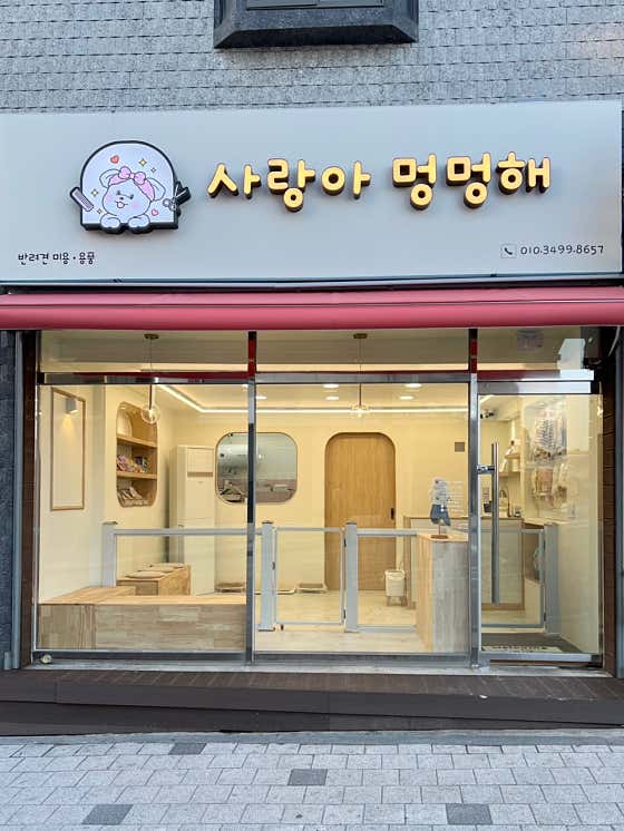 사랑아멍멍해 대표이미지