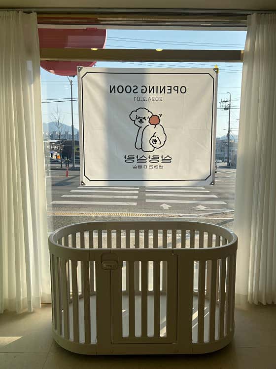 살랑살랑