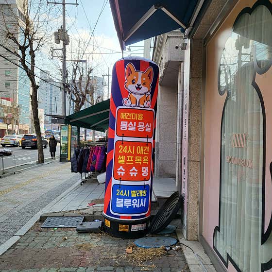 몽실묭실 · 네이버 지도·플레이스 3