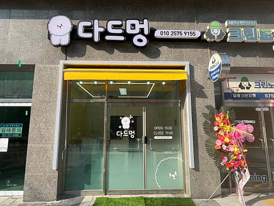 갈매 다드멍 애견미용실 · 네이버 지도·플레이스 2