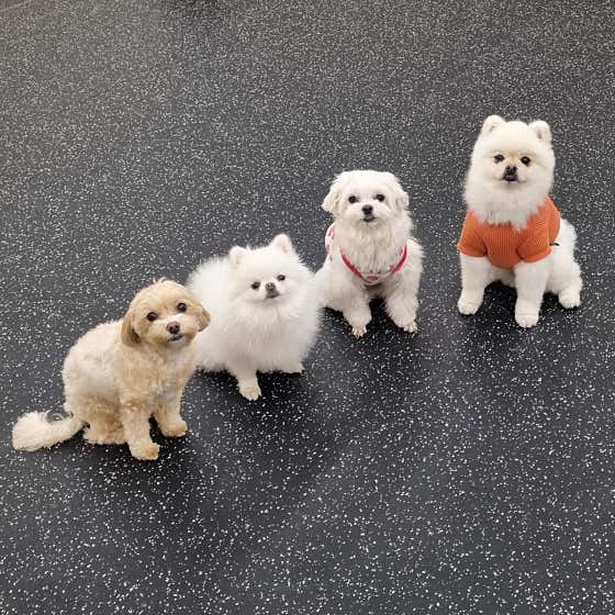 멈무유치원 · 네이버 지도·플레이스 8