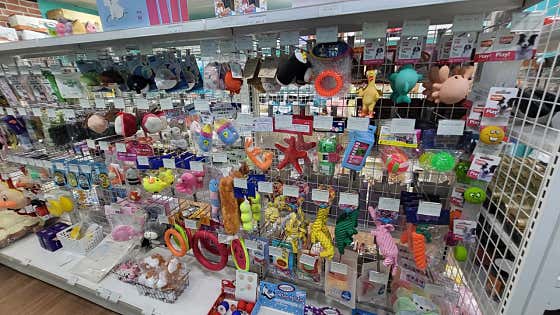 멍냥의 민족 울산달천점 · 네이버 지도·플레이스 10