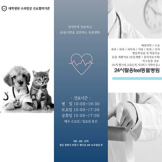 24시 팔용feel동물병원