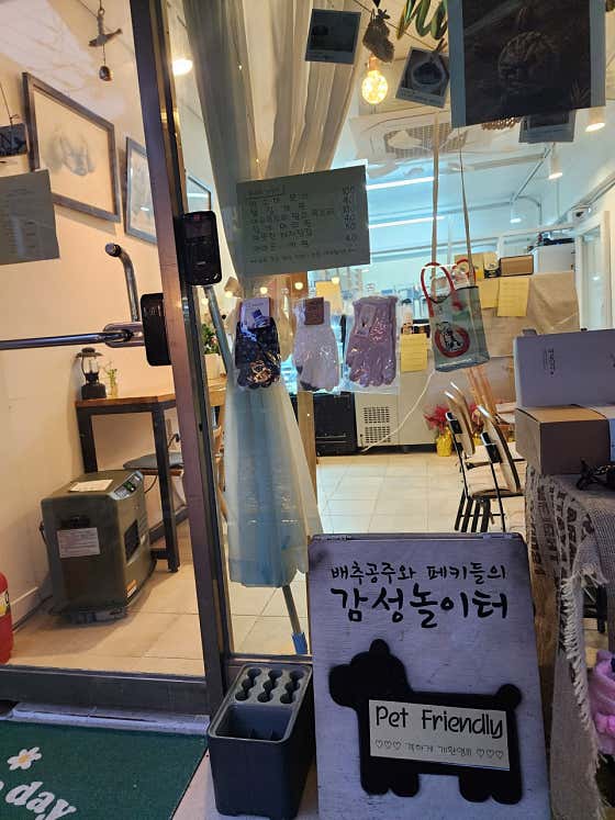 배추공주와페키들의감성놀이터 · 네이버 지도·플레이스 9
