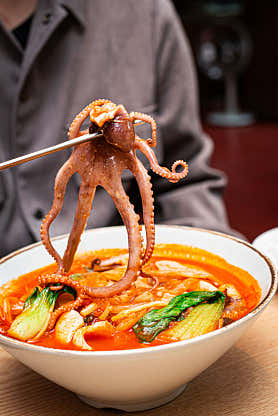 도화 사진 5
