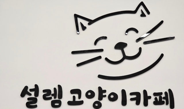 설렘고양이카페 대표 사진