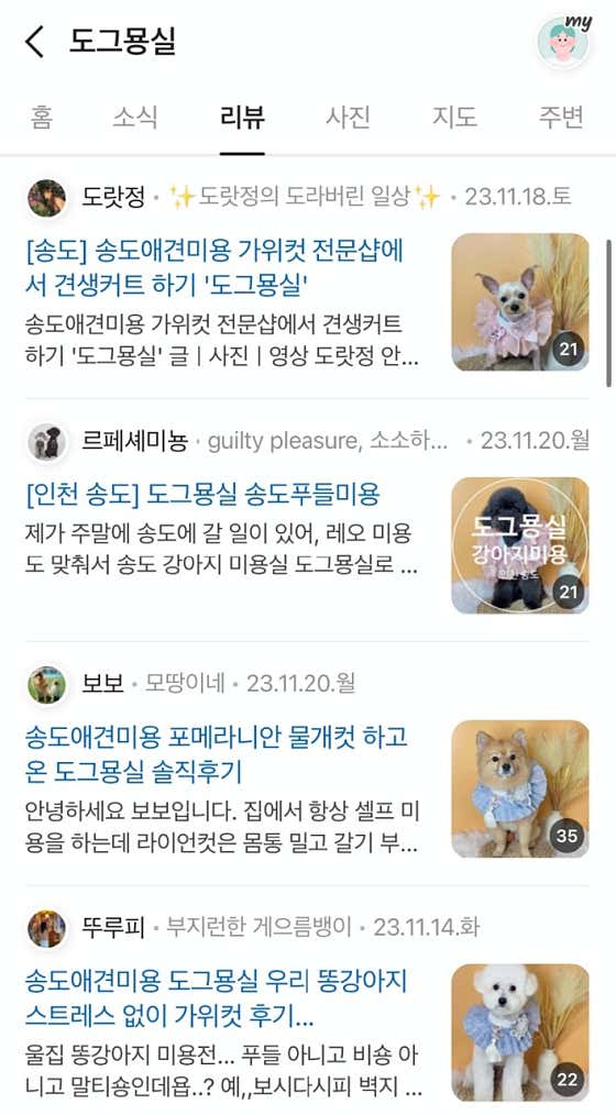 리즈퍼피 · 네이버 지도·플레이스 10